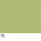 Nile Color Palette Cochlear Nucleus 6 Skin